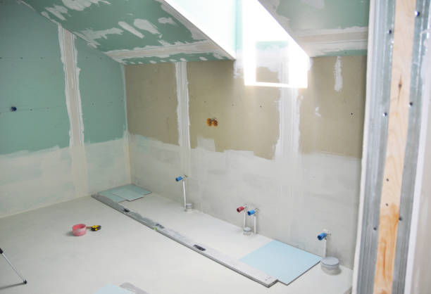 Best Black Mold Removal  in Schenectady, NY