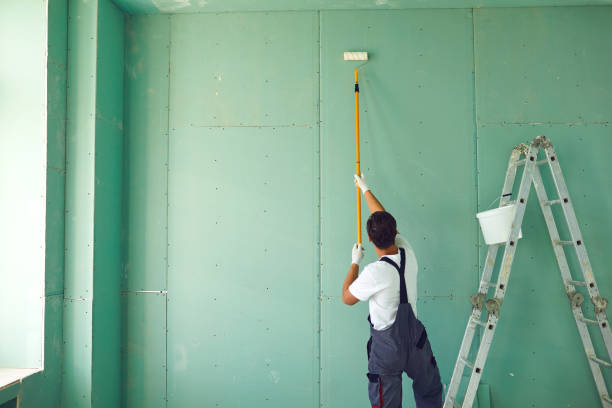 Best Mold Documentation for Insurance Claims  in Schenectady, NY