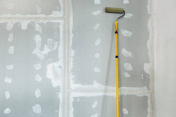 Professional Mold Removal in Schenectady, NY