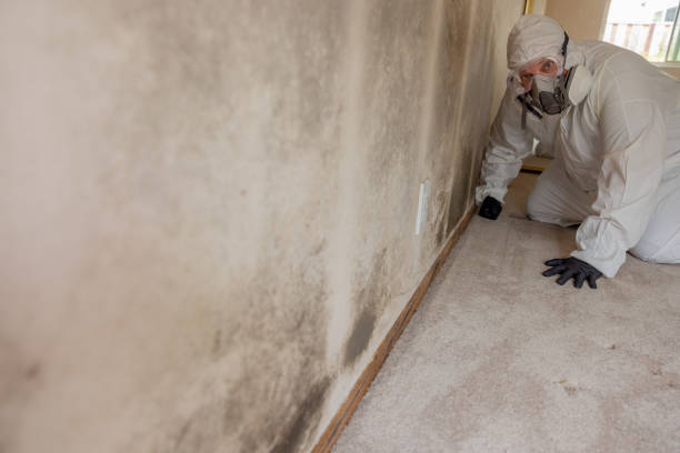 Best Commercial Mold Inspection  in Schenectady, NY