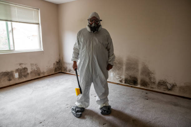 Best Residential Mold Inspection & Testing  in Schenectady, NY