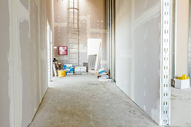 Best Basement Mold Removal  in Schenectady, NY